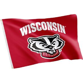 Desert Cactus University of Wisconsin Flag Badgers UW Madison Flags Banners 100% Polyester Indoor Outdoor 3x5 (Style 6)