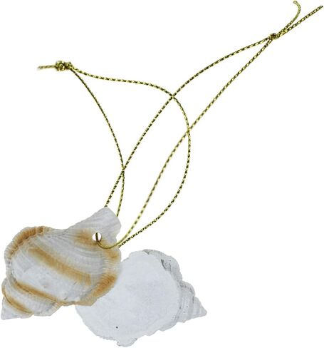 8 قطع من الأصداف البحرية ذات قلم الرصاص من الراتنج مع حبل لتعليق شجرة الكريسماس وحلي الشاطئ وديكور منزلي للزفاف ومشروع الحرف اليدوية بنفسك in Kuwait