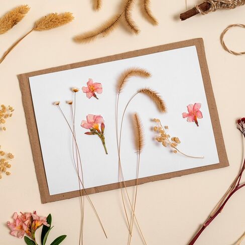 100 Pack Blank 5x7 Cardstock with Envelopes, Premium White Blank Cards and Envelopes Bulk Stationery Greeting Invitation Cards, Blank Note Cards and Envelopes for DIY Card Making or Wedding in Kuwait