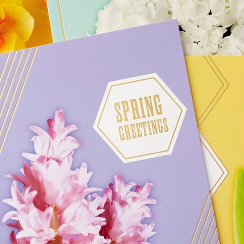 Hallmark Father's Day Card Assortment (24 Cards with Envelopes, 6 Designs) in Kuwait