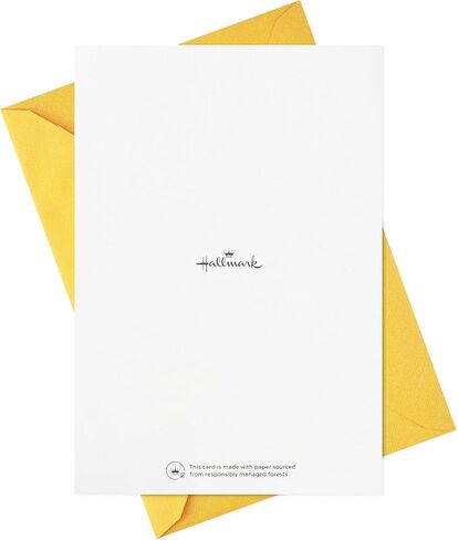 Hallmark Father's Day Card Assortment (24 Cards with Envelopes, 6 Designs) in Kuwait