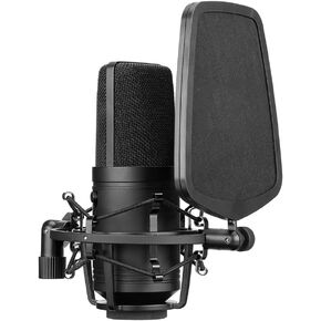 Professional Large Microphone Low-Cut Filter Cardioid Condenser Mic for Live Recording Video Studio Video Camera (Size : Style 2)