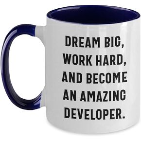 Dream Big Work Hard Become An Amazing Developer Gifts from Friends and Family for Developer Christmas Unique Two Tone Coffee Mug