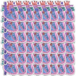 Stickers 48pcs Anatomical Hard Wall Decoration Hat Heart Phone Case for Kids Teens Adults Car Bumper Bike Bedroom Motorcycle Laptop Water Bottles Skateboard