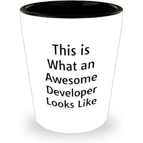 This Is What An Awesome Developer Looks Like, Funny Developer Gifts, Awesome Developer Quote, Ceramic Shot Glass for Christmas