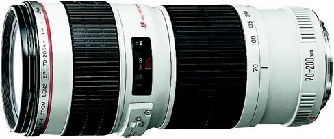 استخدام Canon 70-200mm F4 L هو عدسة USM مع عدسة عدسة in Kuwait