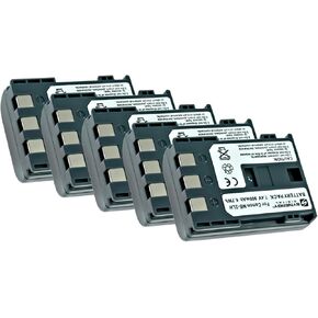 Synergy Digital Camcorder Batteries, Compatible with Lenmar DLC2L, DLC2LH, LIC2LI2 Camcorder Batteries (li-ion, 7.4V, 900 mAh), Set of 2