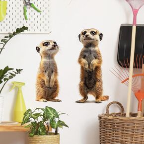 Meerkat Wall Decals Removable African Animal Vinyl Stickers for Nursery Living Room and Kids Playroom Realistic Style Decor Peel and Stick Wall Art