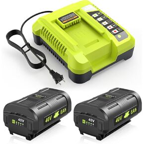 2 Packs OP4060 40V Max 6000mAh 240Wh Battery Replacement for Ryobi with OP401 Charger