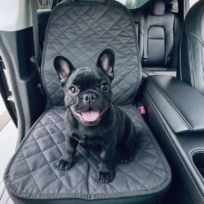 VION Tesla Model 3/Y Passenger Seat Cover/Pet Liner