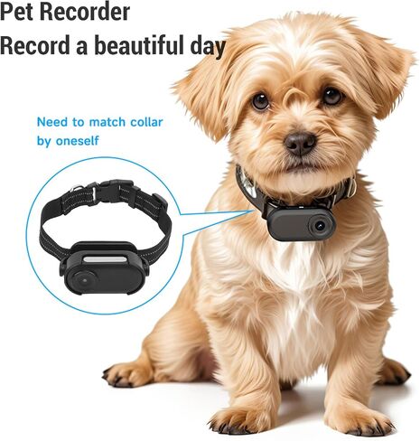 ACOUTO HD MY PET CAMERA CAMERT 1080P تسجيل زاوية واسعة من الهز ، بطارية طويلة الأمد ، شاشة ملونة مغناطيسية 0.96 بوصة ، لركوب الدراجات في الهواء الطلق (أبيض) in Saudi Arabia