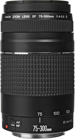 Canon EOS RP Mirrorless Camera with RF 24-50mm f/4.5-6.3 is STM and EF 75-300mm f/4-5.6 III Lens + 64 GB Memory + Video LED Light + Mic + Mount Adapter for Canon R + More (30pc Bundle) (Renewed) in Saudi Arabia