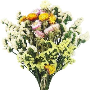 الزهور الطبيعية المجففة بوهو باقات الزهور المجففة تنساني ليست بيضاء صفراء الأناناس أقحوان زهرة اصطناعية لترتيبات الزهور بوهو الزفاف ديكور المنزل in Kuwait