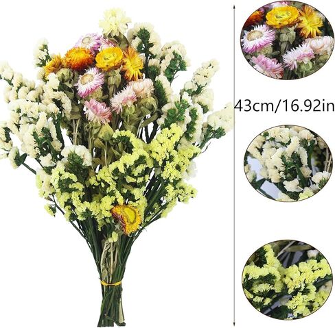 الزهور الطبيعية المجففة بوهو باقات الزهور المجففة تنساني ليست بيضاء صفراء الأناناس أقحوان زهرة اصطناعية لترتيبات الزهور بوهو الزفاف ديكور المنزل in Kuwait