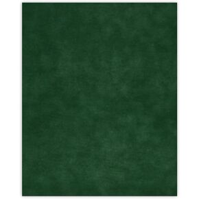 CountryArtHouse Treeline Green Suede Acid Free 16x20 Backing Board - Uncut Photo Mat Board - 1 Sheet