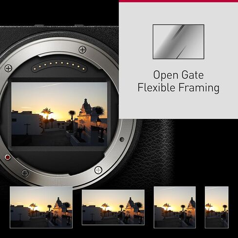 كاميرا Panasonic Lumix S9 بدون مرآة ، إطار كامل 24.2 ميجابكسل مع طور هجينة AF ، Active I.S. التكنولوجيا - DC -S9bodyk (أسود) (متجدد) in Saudi Arabia