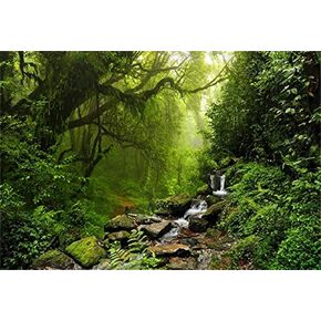 10x8ft Graceful Natural Scenery Backdrop Evergreen Forest Jungle Rock Flowing Mountain Stream Rainforest Photography Background Birthday Party Events Photo Studio Props