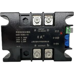 220V Single-Phase Motor Soft Starter Module controller2KW4KW6KW8KW Motor Online Soft Starting Fan Pump Pressure Reducer Conveyor(SSR-100WA-R1(4KW))
