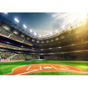 7x5 FT Baseball Sports Backdrop Baseball Photo Photography Backdrop Field Backdrop for Party Supplies Banner Home Decor Birthday Portrait Photo Booth Studio Prop