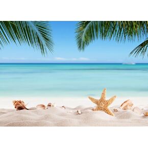 7X5FT Summer Backdrops Hawaiian Backdrop for Party Luau Photo Backdrop Beach Background Tropical Banner F161