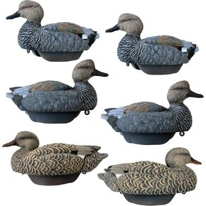 Gadwall Duck Decoys by Heyday – Ultra-Light 100% HydroFoam | Durable, Realistic Design | 6 Pack of Duck Hunting Decoys