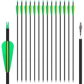 14 Pack 31" Archery Carbon Arrows,Practice Hunting Arrow with Removable Tips Shaft Spine 500 Suitable for Recurve Bows