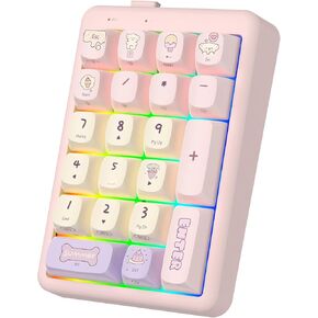 NumberPad,21Keys HotSwappable Numpad,Bluetooth5.0/2.4G/Type-C Wireless Numeric Keypad,Rechargeable Number keypad,RGB Gasket Structure Mechanical Keyboard with PBT Keycap for PC Laptop Notebook