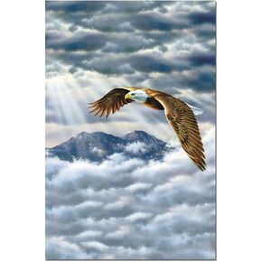 Tree-Free Greetings ECOnotes Notecard Set, 4 x 6 Inches, 12-Count Notecards with Envelopes, Eagle Spirit (66685)
