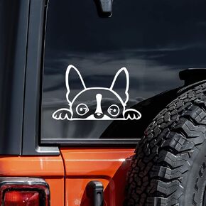 Boston Terrier Peeking Decal Vinyl Sticker Auto Car Truck Wall Laptop | White | 6" x 3"