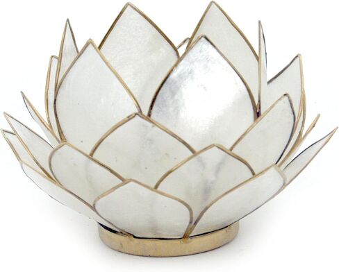 Contrast Natural White Capiz Shell Opening Lotus Flower Bulb Tealight Candle Holder, Tan, One Size in Saudi Arabia