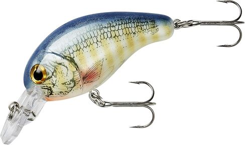 Norman Lures Mad N Fat-Bodied Shallow-Diving Crankbait Bass Fishing Lure, 3/8 Ounce, 2 Inch in Kuwait