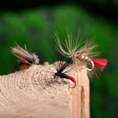 Goture Fly Fishing Flies Kit ، 30pcs Flies Flies Dray Flies Flasss طائرة تشويش صيد الأسماك لسلمون سمك السلمون السلمون الصلب ، الهدايا للرجال in Kuwait
