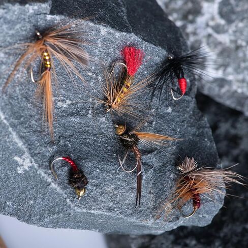 Goture Fly Fishing Flies Kit ، 30pcs Flies Flies Dray Flies Flasss طائرة تشويش صيد الأسماك لسلمون سمك السلمون السلمون الصلب ، الهدايا للرجال in Kuwait