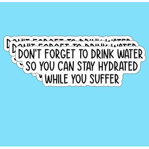 (3PCS) Don't Forget to Drink Water Stay Hydrated While You Suffer Sticker, Motivational Sarcastic Inspirational Vinyl Sticker for Books Laptops Phone Water Bottles Tumbler Cup Kindle 3x1 Inch