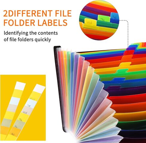 Cloudia 13 Pockets Accordion File Organizer, Expanding File Folder with Blank Labels, Super Heavyweight Monthly Accordion Folder, Desktop Accordion Folders (Black) in Kuwait