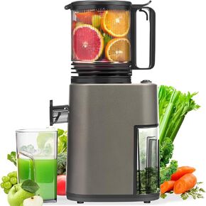 Masticating Juicer with 250W DC Motor, 5.4" Wide Feed Chute, Slow Cold Press Juice Extractor for Whole Fruits & Vegetables, High Juice Yield, DC-Black