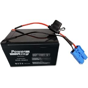 Kid Trax 12 Volt Replacement Battery 12V 12AH Beiter DC Power