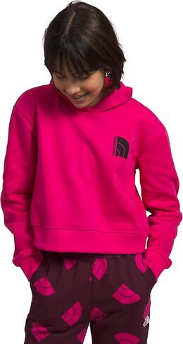 THE NORTH FACE Girls' Camp Fleece Pullover Hoodie Sweatshirt, Gardenia White/Ice Blue, XX-Small in Saudi Arabia