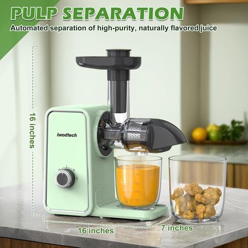 Cold Press Fruit Slow Masticating Juicer Machine BPA-Free with 2 Speed Modes Easy to Clean for Vegetable High Yield in Kuwait