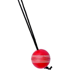 Naqqash Sports Willow Cricket Hanging Ball for Bat Knocking and Practice, 1 Hard Ball