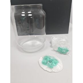 Clear Lantern Globe Compatible with Coleman Northstar Lanterns 2000/2500 2000-043C (Transparent)– Includes 2 Lantern Mantles