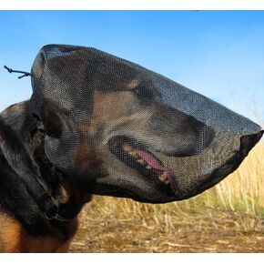 OutFox Field Guard Size XS - Vet-Recommended Dog Safety Mask for Foxtails, Grass Seeds, Bugs and Debris | Breathable, Lightweight, Patented Design | Multiple Sizes