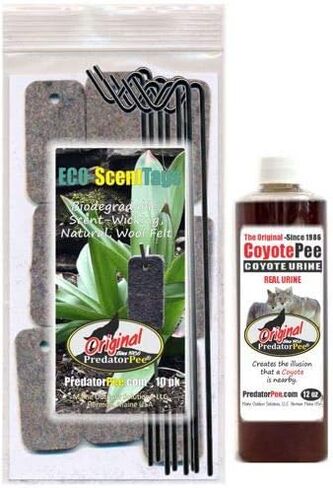 Predator Pee 100% Coyote Urine - Territorial Marking Scent - Creates Illusion That Coyote is Nearby - 16 oz in Saudi Arabia