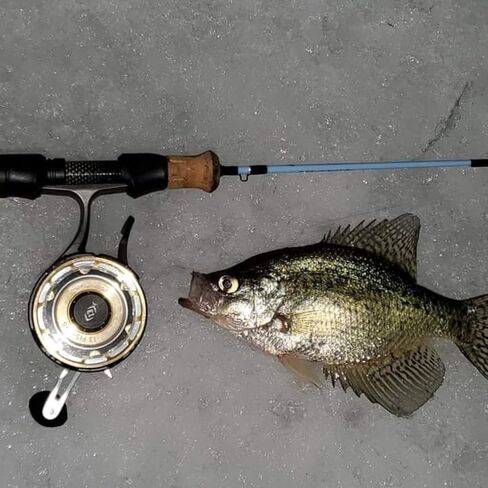 Winterhawk – 28" Medium Action Ice Fishing Rod with Japanese Toray Carbon Fiber | Wasatch Tenkara Rods in Saudi Arabia