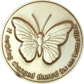 If Nothing Changed There'd Be No Butterflies Bronze Serenity Prayer Medallion Butterfly Pocket Token