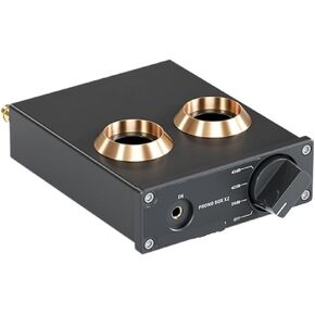 Phono preamplifier لـ Durntable Phonograph preamplifier Mini Stereo Audio Hifi Tube Amplifier Box X2 مناسب لـ DIY (المربع X2 مع 5654W)