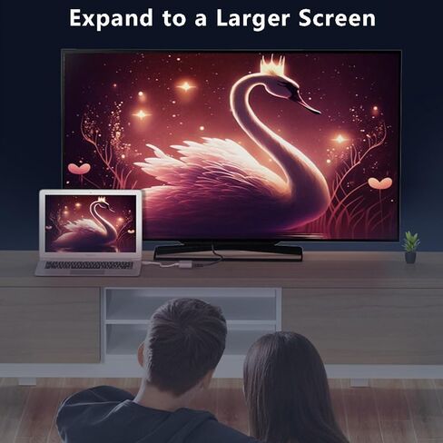 DisplayPort إلى محول HDMI & VGA ، DP إلى محول VGA ، دعم مراقب مزدوج ، 4K HDMI الإخراج الكامل HD 1080P VGA ، متوافق مع الكمبيوتر المحمول ، الكمبيوتر ، الشاشة in Kuwait