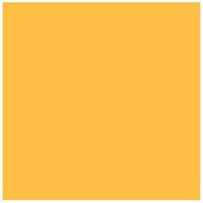 Rosco Roscolux Light Straw, 20x24 Color Effects Lighting Filter