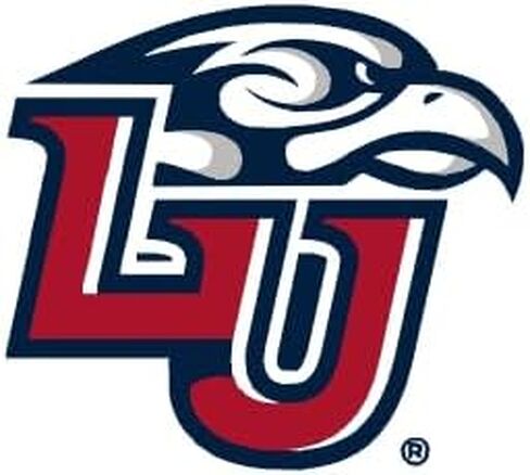 إطار أسود من Campus Images NCAA Liberty Flames للجنسين دبلومة الروح مانهاتن مع طباعة حجرية إضافية، أسود، مقاس واحد in Saudi Arabia
