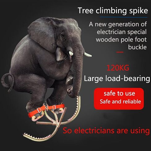Tree Climbing Gear,Climbing Trees Artifact Electrician Wooden Pole Foot Buckle,for Hunting Observation,Picking Fruit,Coconut,Simple to Use,model600 in Saudi Arabia